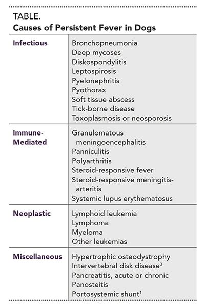 causes of fever differential
